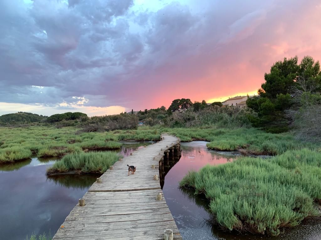 Paisaje con camino sobre presioso lago, en el aparece un perrito.